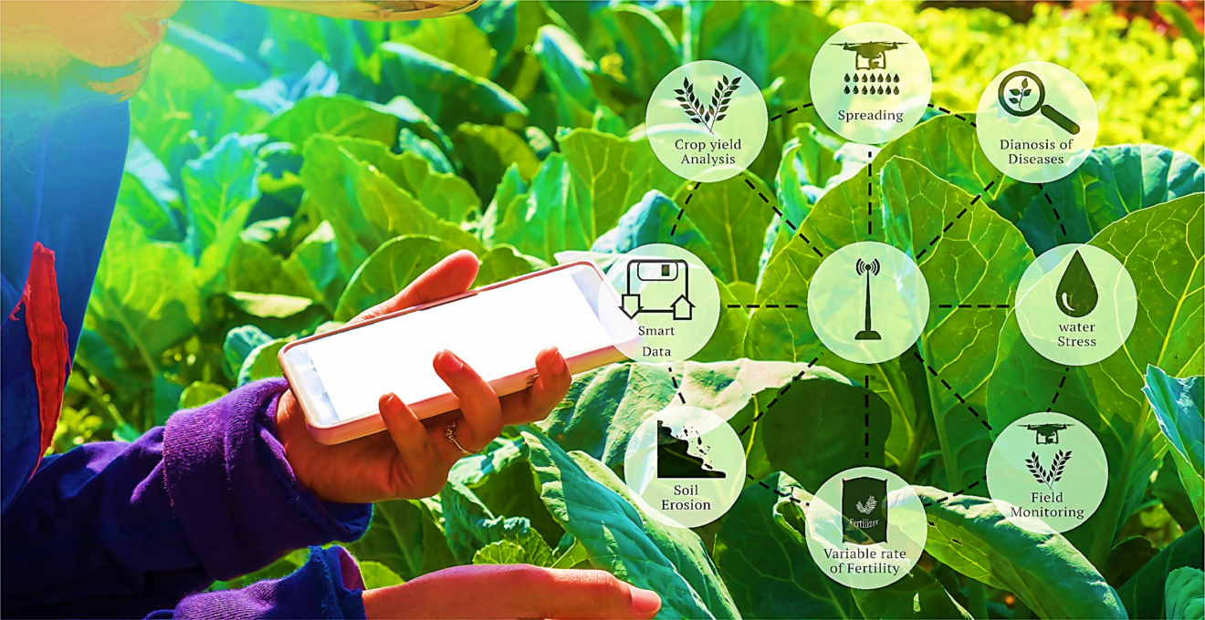 ICT in Agriculture